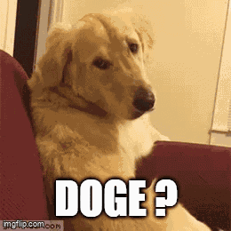 Wewe Meme GIF