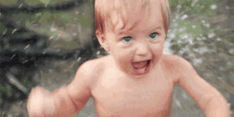 Whaaaa GIF
