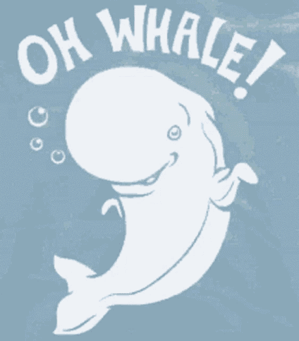 Whale Whale Sharks GIF