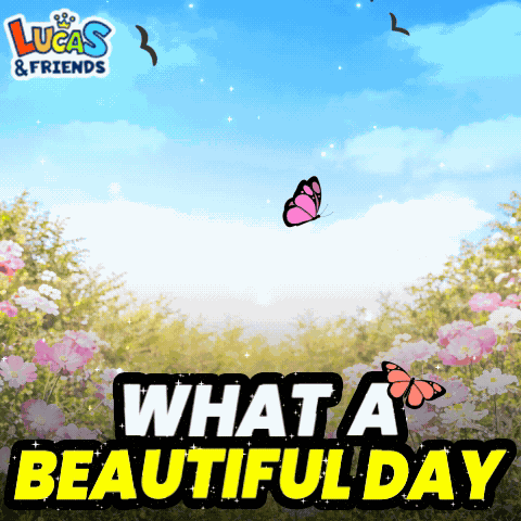 What A Beautiful Day Big Beautiful Day GIF