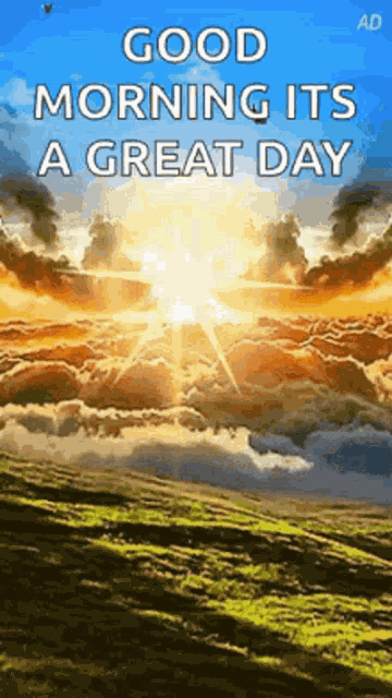 What A Sunny Day GIF