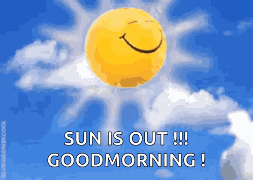 What A Sunny Day GIF