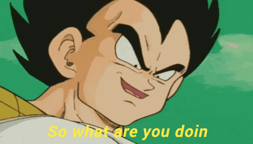 What Are You Doing Tfs Vegeta GIF