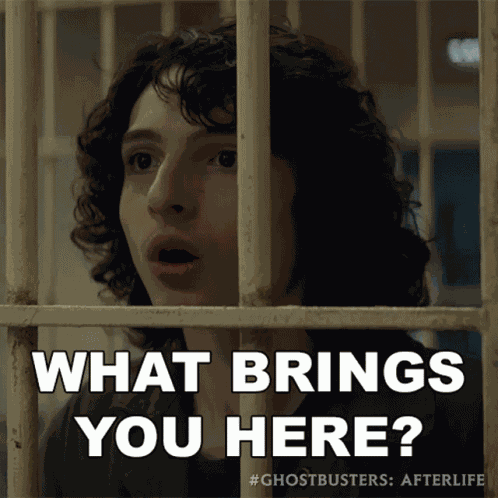 What Brings You Here Trevor GIF