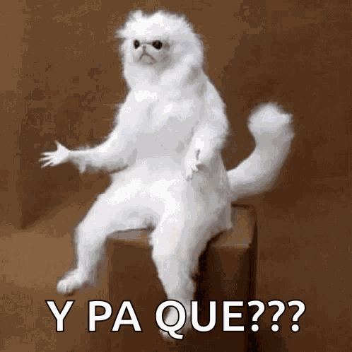 What Confused GIF
