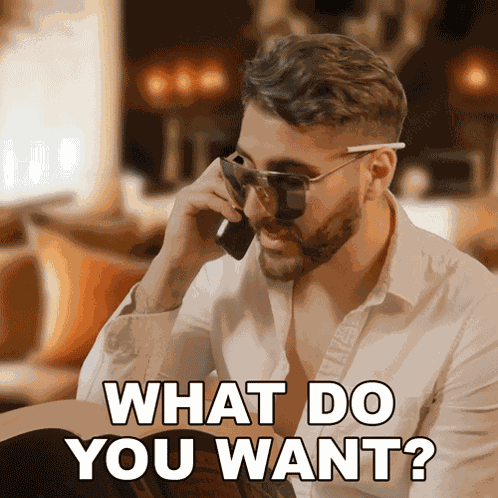 What Do You Want Rudy Ayoub GIF