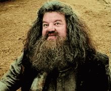 What Hangrid GIF