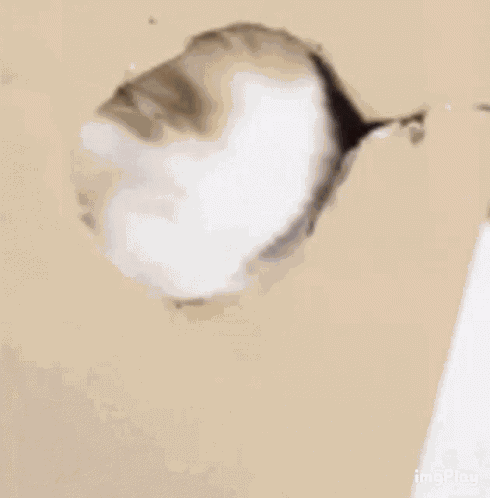 What Is GIF