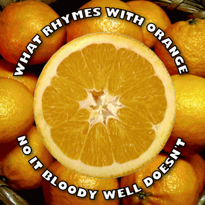 What Rhymes With Orange No It Does Not GIF