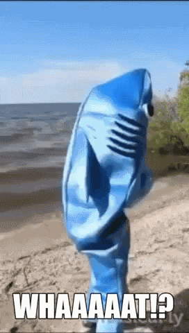What Shark GIF