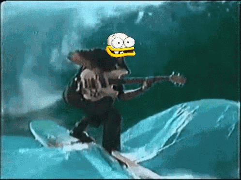 What The Duck Wtd GIF