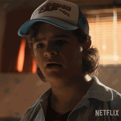 What The Heck Dustin Henderson GIF