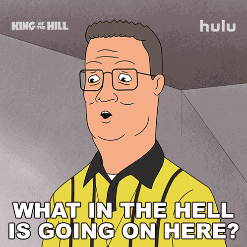 What The Hell Is Going On Here Hank Hill GIF