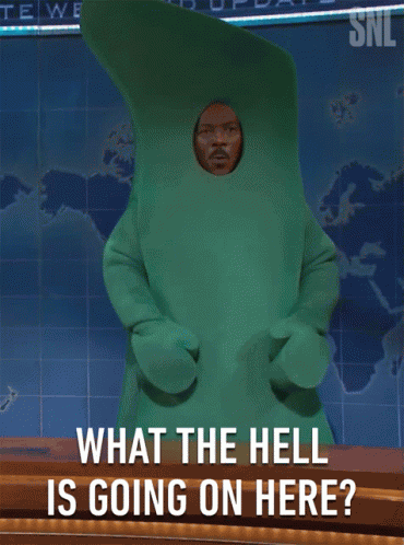 What The Hell Is Going On Here Whats Going On GIF