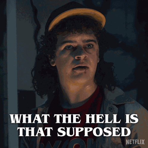What The Hell Is That Supposed To Mean Dustin Henderson GIF