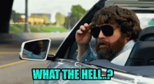 What The Hell GIF