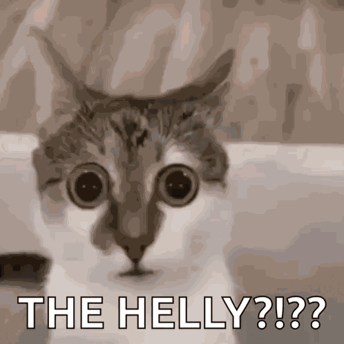 What The Helly GIF