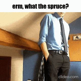 What The Spruce Fishtank GIF