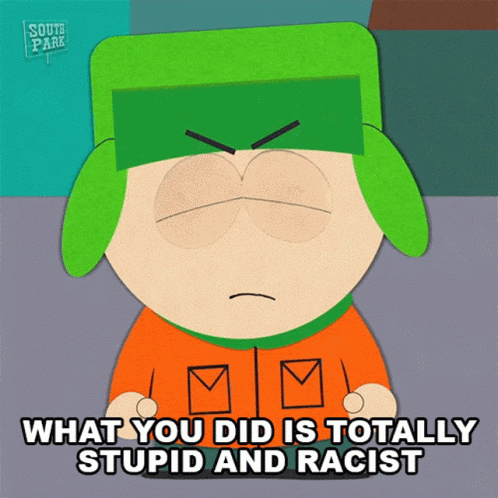 What You Did Is Totally Stupid And Racist Kyle Broflovski GIF