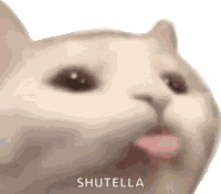 What You Going To Do About It Say What Sticker