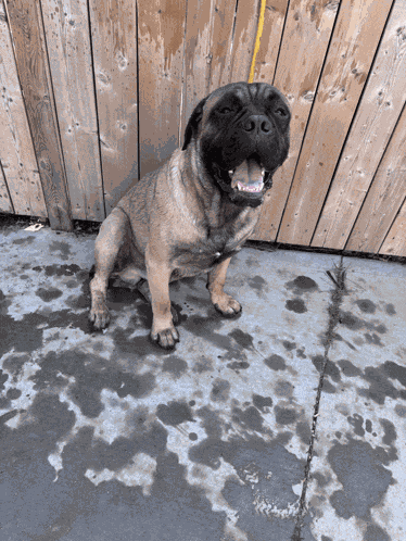 What You Talkin Bout Willis You Talking To Me Meme