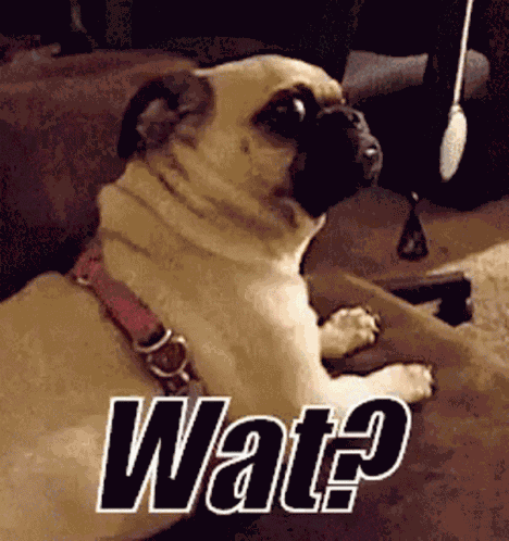 What You Talking About Cute GIF