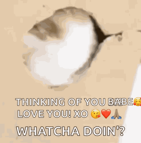 Whatcha Doing GIF