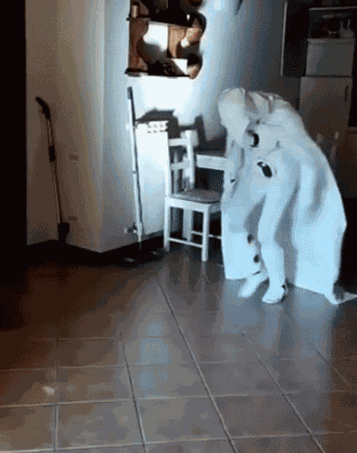 Whatev Griddy Knight GIF