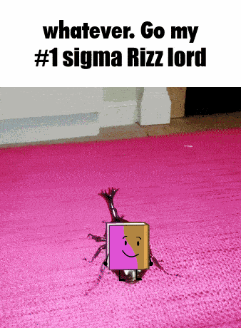 Whatever Go My Scarab Ewow GIF