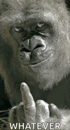 Whatever Yeah Whatever Meme