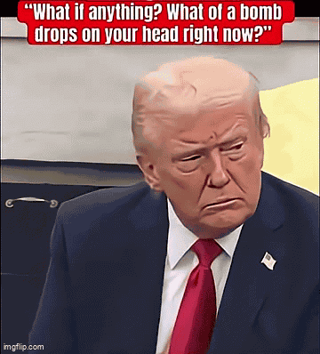 Whatifanything What If Anything GIF