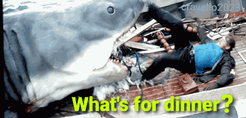 What'S For Dinner Robert Shaw GIF