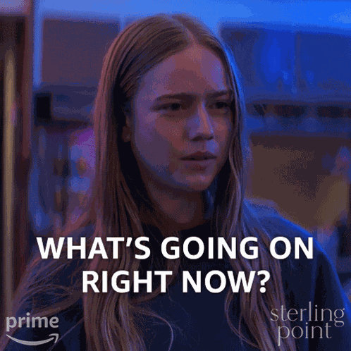 What'S Going On Right Now Ramona GIF