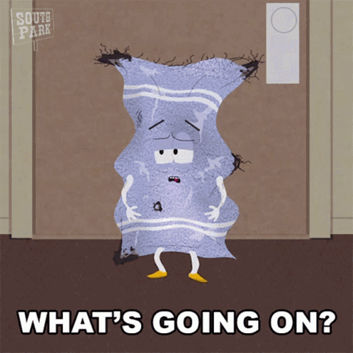 Whats Going On Towelie GIF