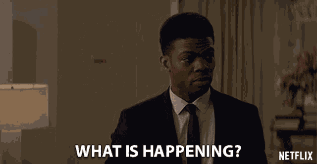 Whats Happening What Is Happening GIF