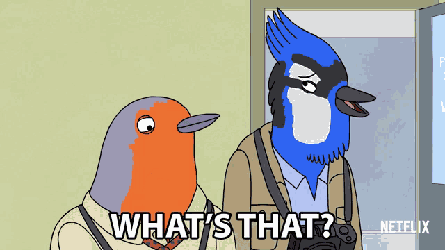 Whats That Paparazzi Blue Jay GIF