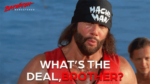 Whats The Deal Brother Macho Man Randy Savage GIF