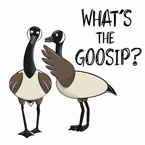 Whats The Gossip Animals GIF