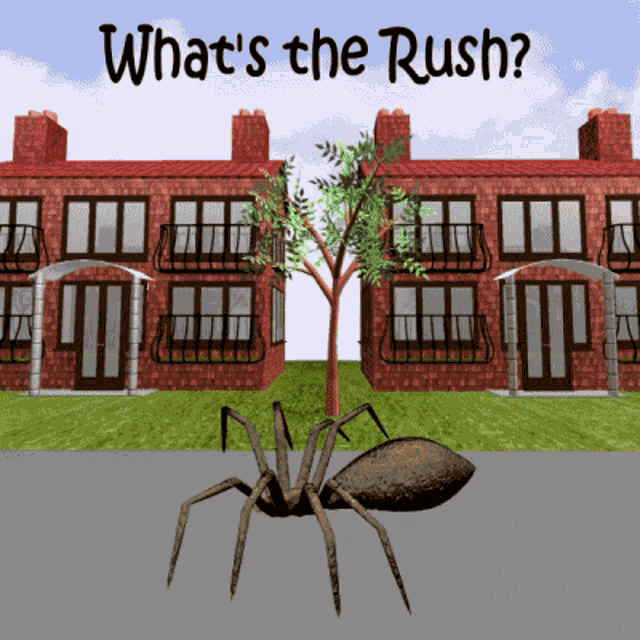 Whats The Rush Why Hurry GIF