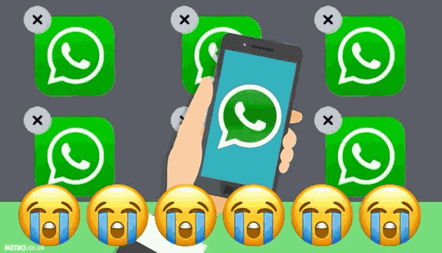 Whatsapp Logo GIF