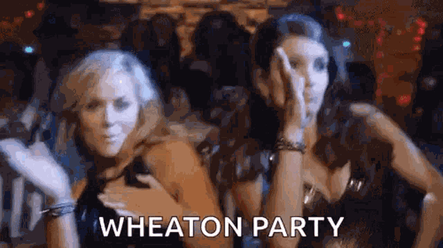 Wheaton Family Wheaton Party GIF
