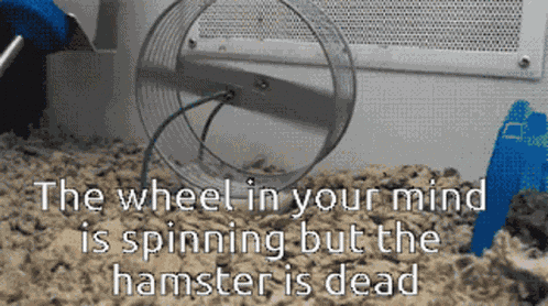 Wheel Mind GIF