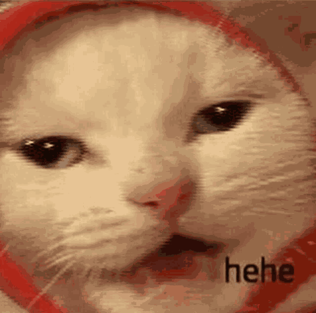 When Someone Makes A Bad Joke Meme