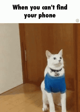 When You Can'T Find Your Phone GIF