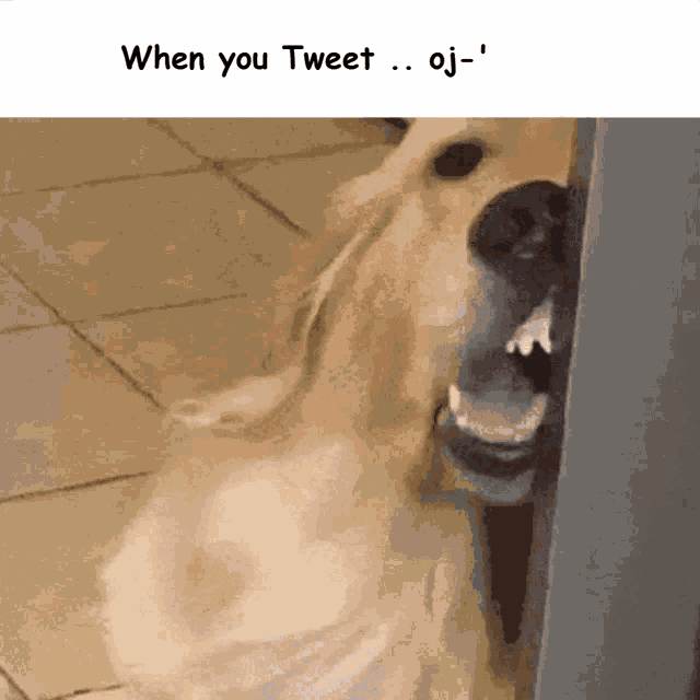 When You Tweet Fleets Needed Meme