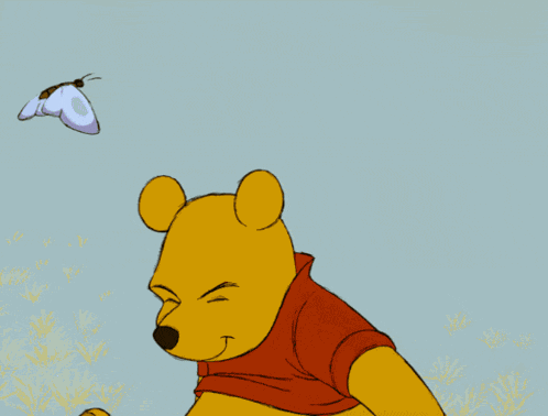 Whinnie Winnie The Pooh GIF
