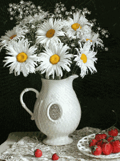White Flowers Daisies GIF