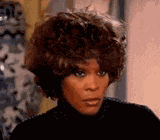 Whitney Whitney Houston Meme