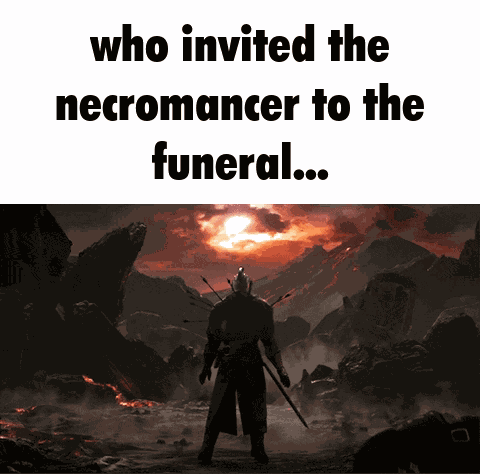 Who Invited Necromancer To The Funeral Dark Souls GIF
