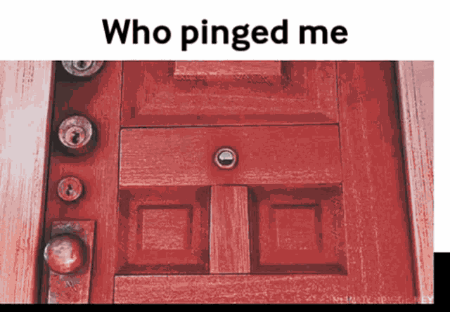 Who Pinged Me Ping GIF